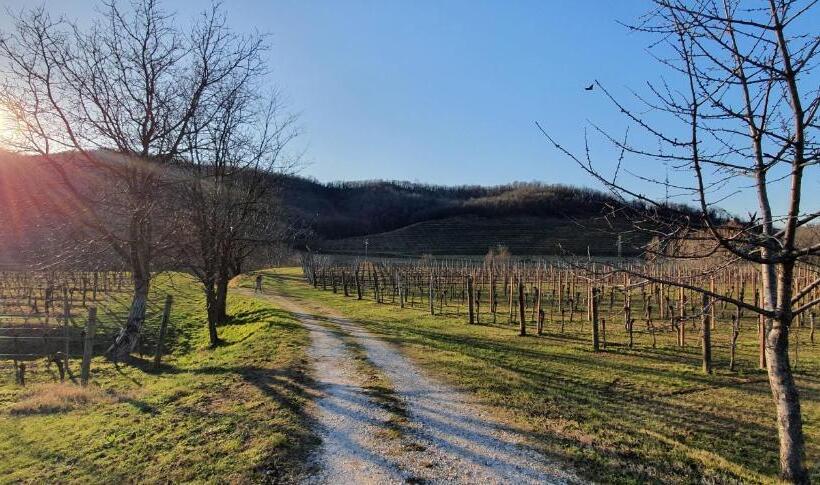 住宿加早餐  Domus Iulii