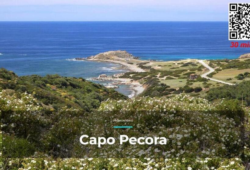 مبيت وإفطار Anaelehouserooms Ltb