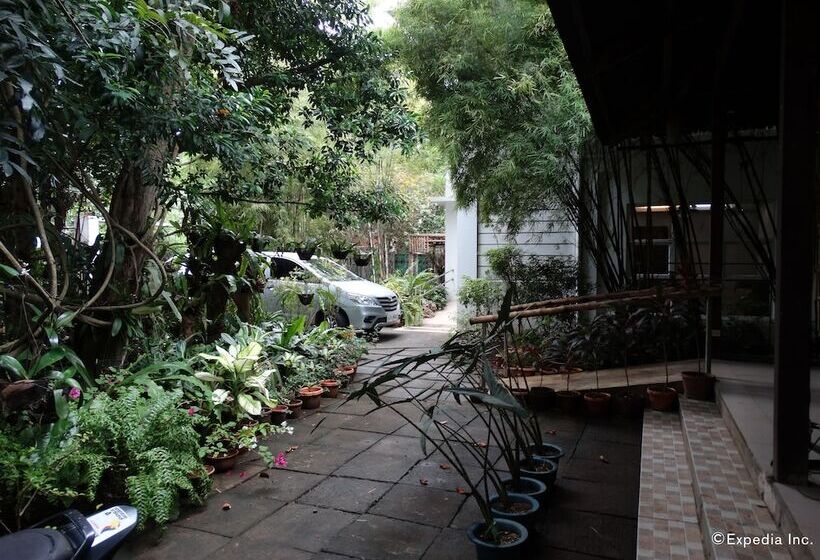 مبيت وإفطار Greenspace Palawan