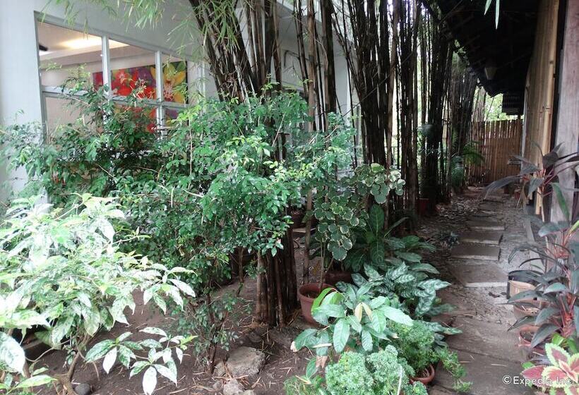 مبيت وإفطار Greenspace Palawan