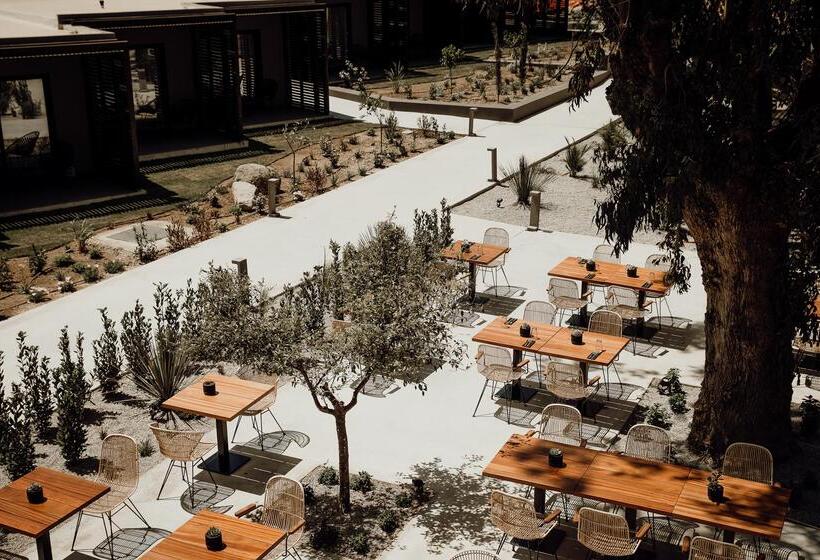 Cook S Club Ialysos Rhodes