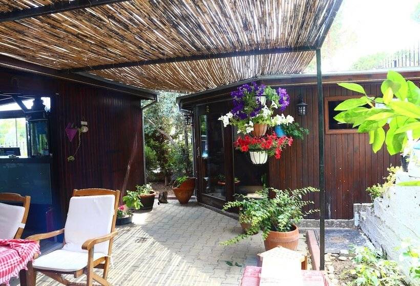 Cunda Güzelyalı Otel