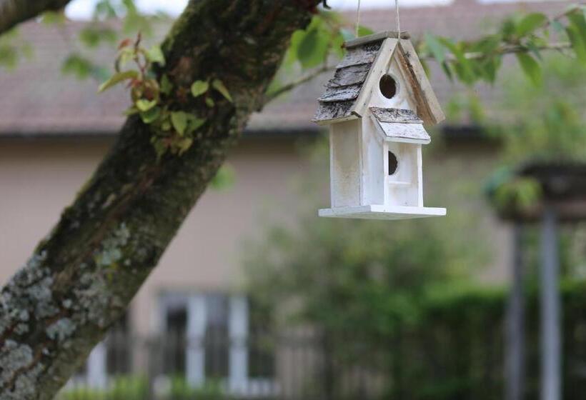 Ferienhotel Bodensee