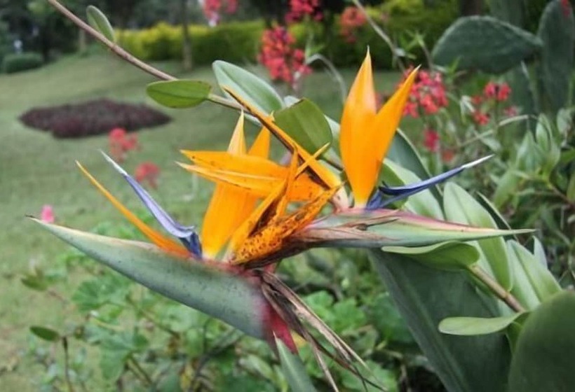 هتل Bunyonyi Safaris Resort