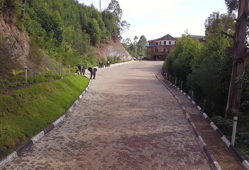 هتل Bunyonyi Safaris Resort