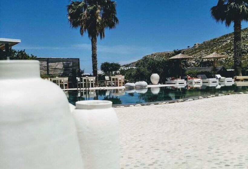 Caesars Gardens Hotel & Spa   Adults Only