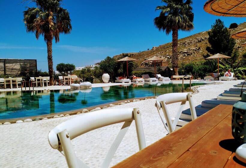 Caesars Gardens Hotel & Spa   Adults Only