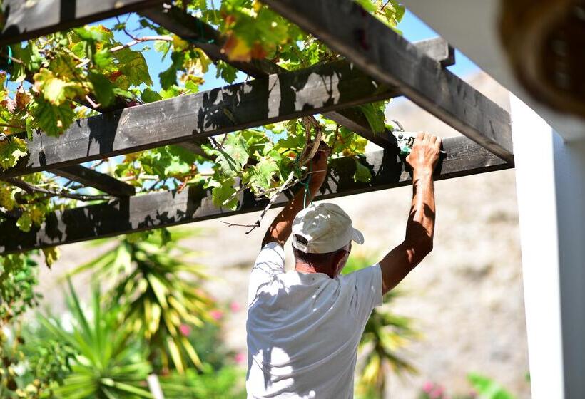 Caesars Gardens Hotel & Spa   Adults Only