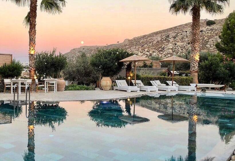 Caesars Gardens Hotel & Spa   Adults Only