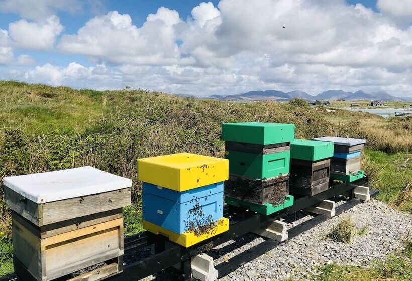 Connemara Sands Beach Hotel & Spa