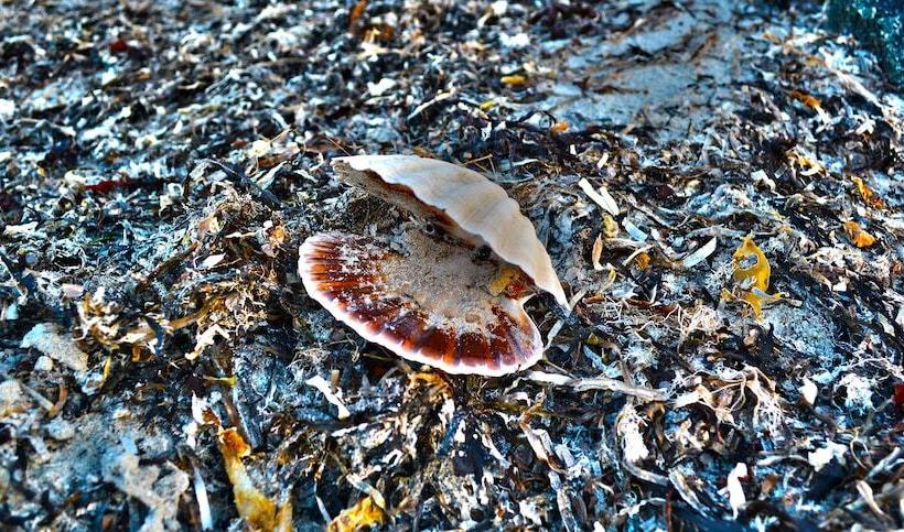 Connemara Sands Beach Hotel & Spa