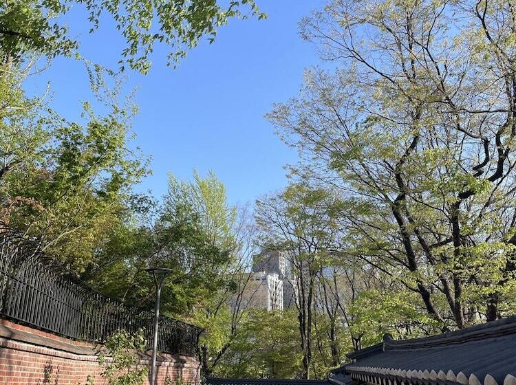 Hotel Doma Myeongdong