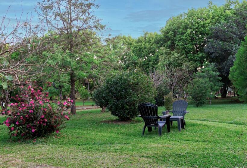 ホテル Cabañas El Refugio Del Mensu