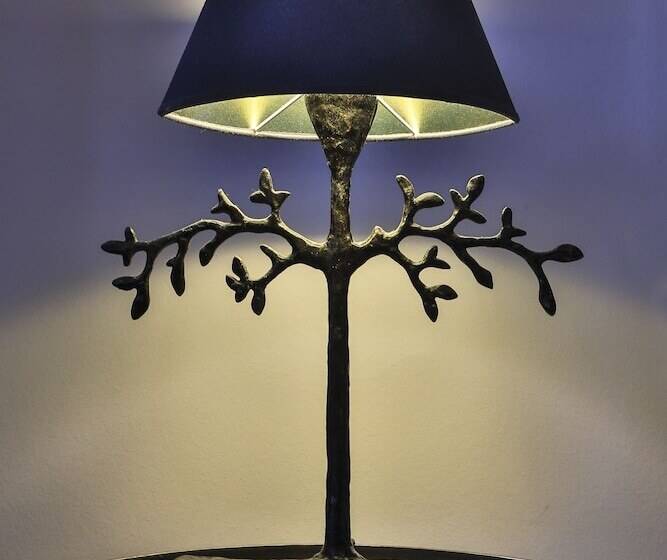 酒店 Hôtel De La Villeon