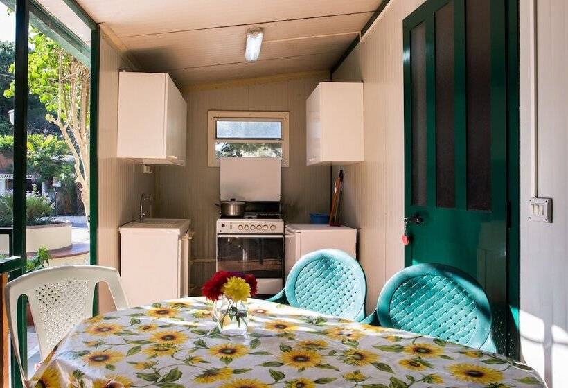 Отель Intercamping Apollo