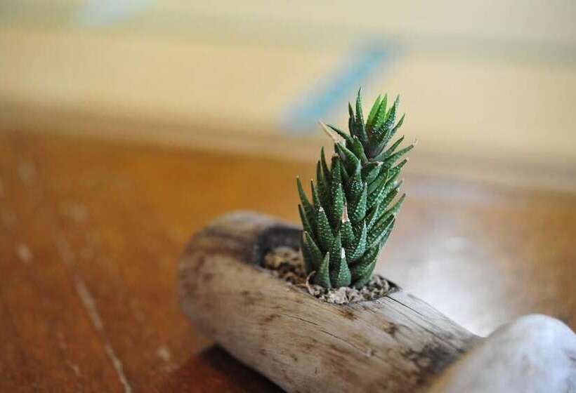 בית מלון כפרי Isohara Seaside