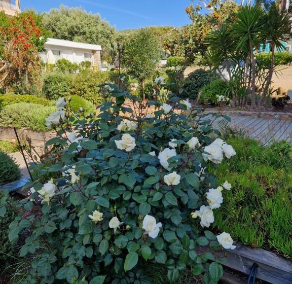 בית מלון כפרי L'escale