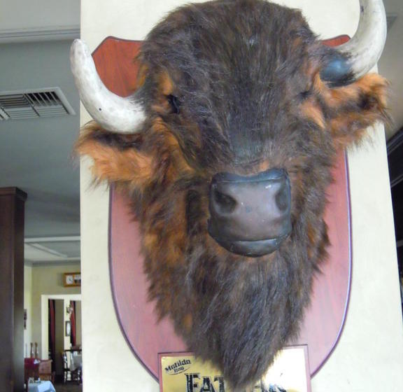 ホテル Moondyne Joe's