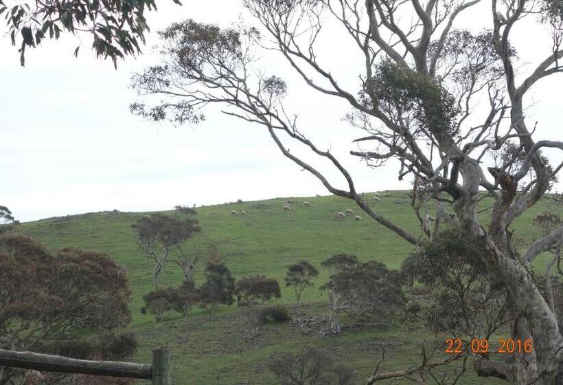 בית מלון כפרי Morella Farmstay