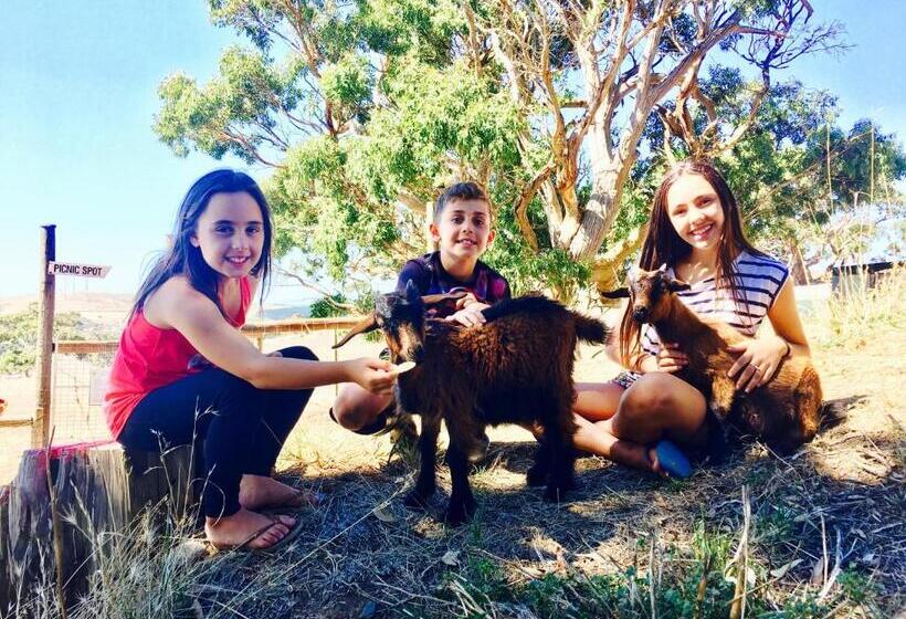 בית מלון כפרי Morella Farmstay