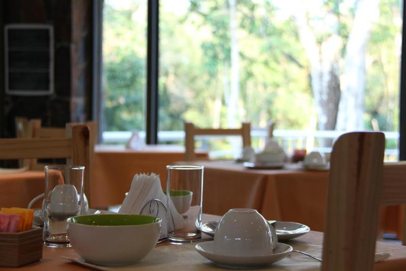 Rainforest Hotel & Cabañas