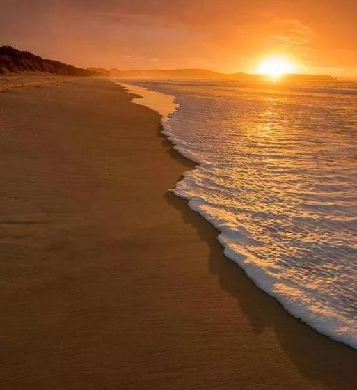 فندق Appartamenti Onda Etrusca