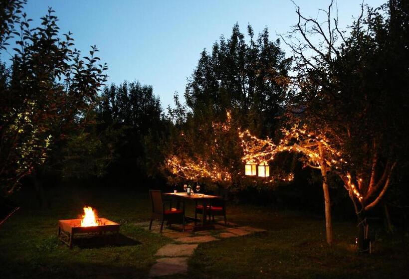 Larisa Resort Manali