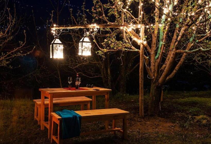 Larisa Resort Manali