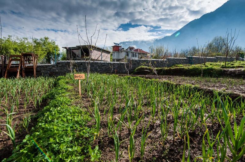 Larisa Resort Manali