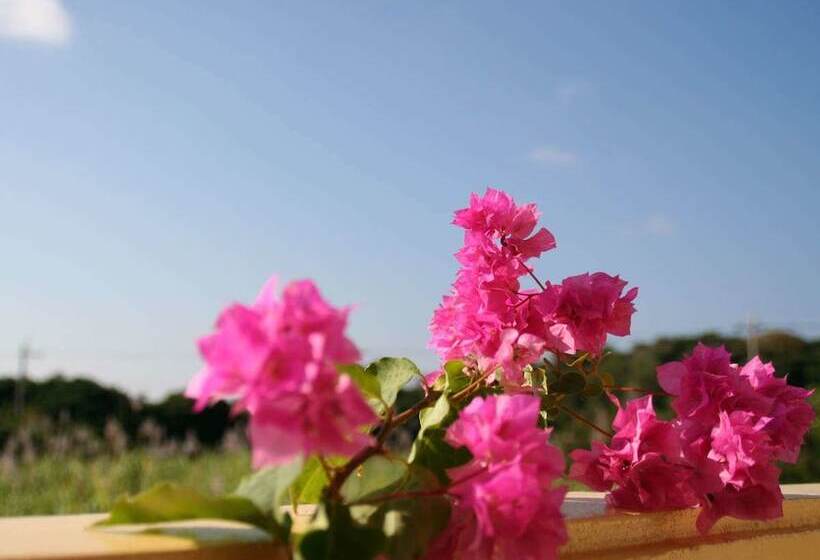 Livemax Amms Hotels Canna Resort Villa