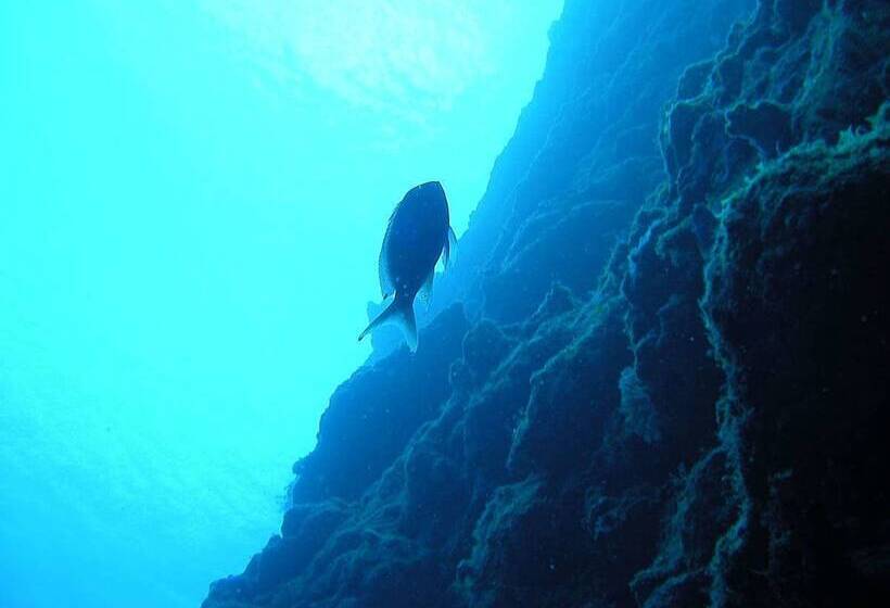 Livemax Amms Hotels Canna Resort Villa