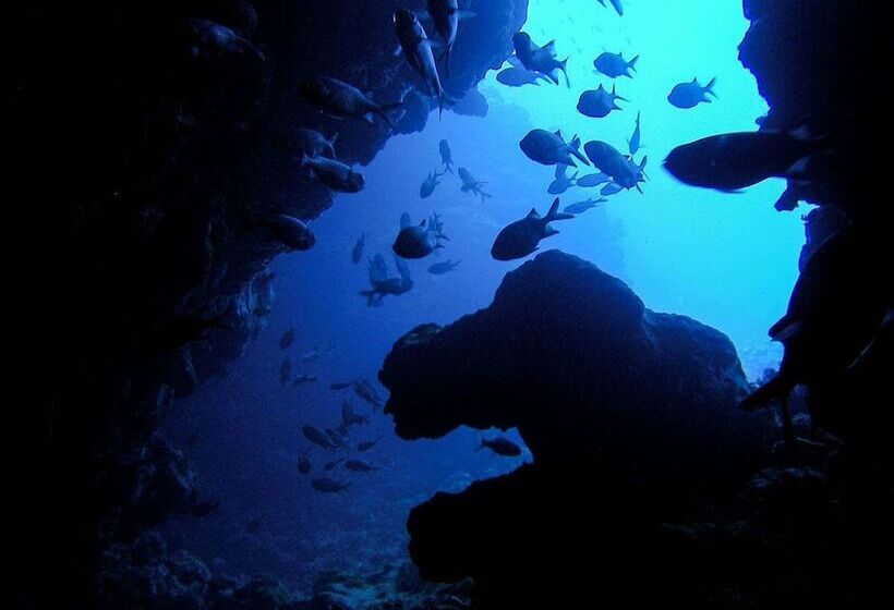 Livemax Amms Hotels Canna Resort Villa