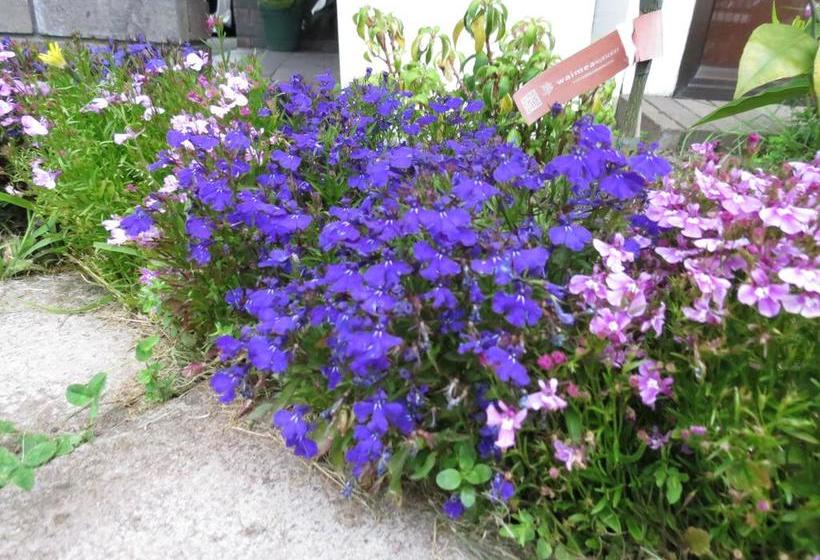 Мотель Mill Lodge