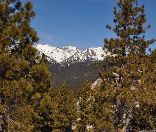 Northlake Lodges & Villas