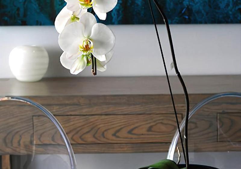 פנסיון 65oncliff