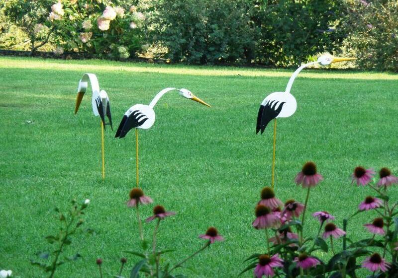 膳宿费 Anima Mundi