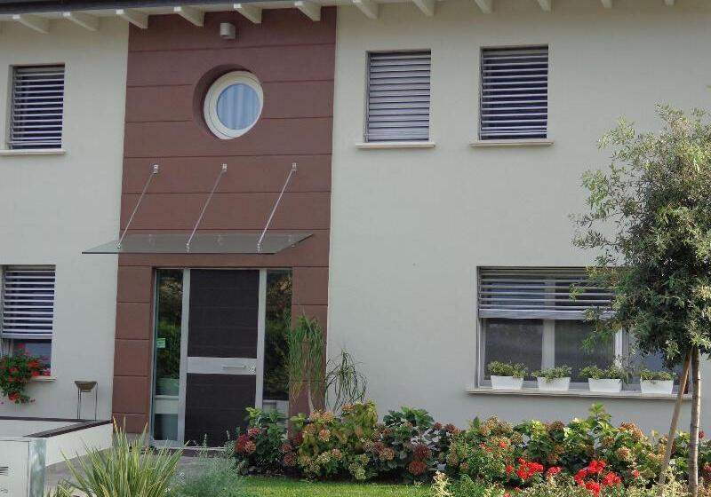 膳宿费 Anima Mundi