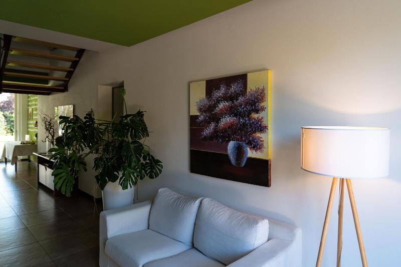 膳宿费 Anima Mundi