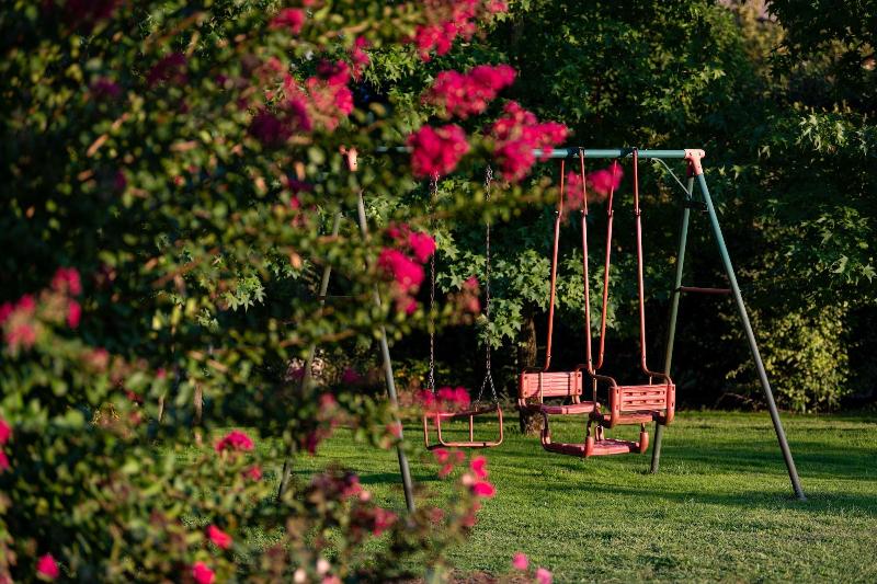 膳宿费 Anima Mundi