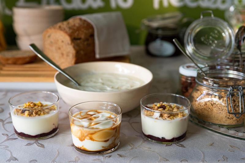 膳宿费 Anima Mundi