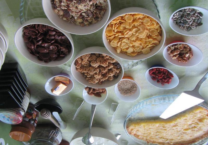 膳宿费 Anima Mundi