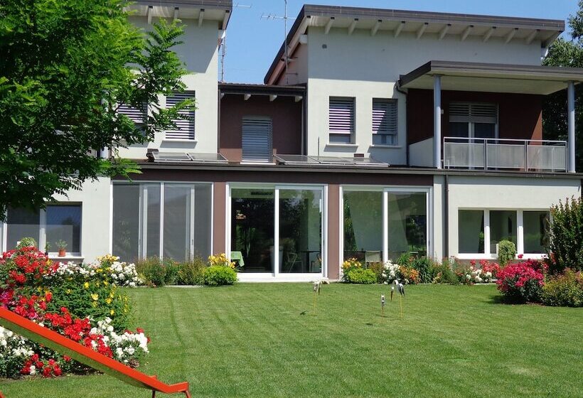 膳宿费 Anima Mundi