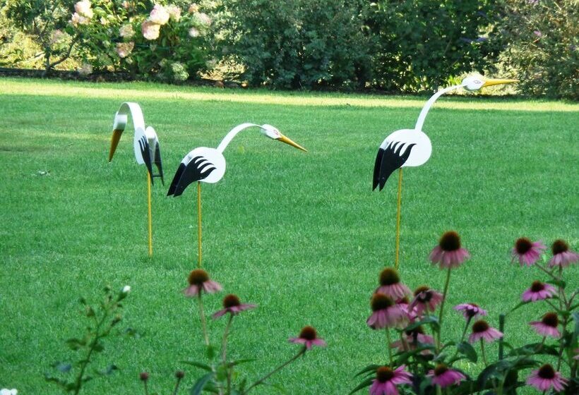 膳宿费 Anima Mundi