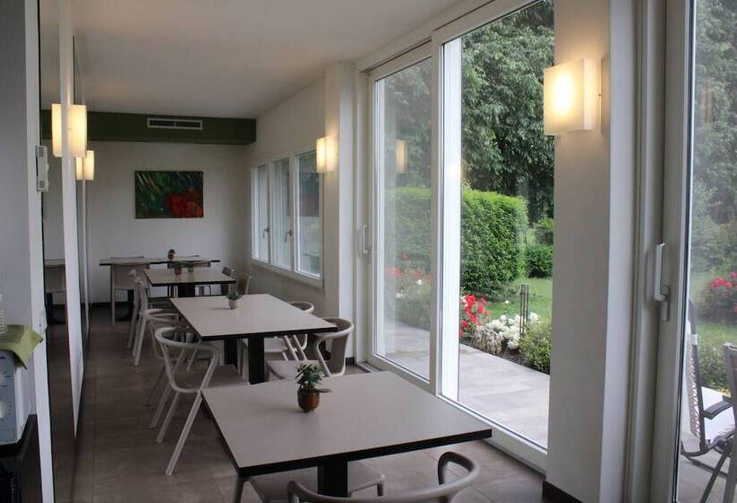 膳宿费 Anima Mundi