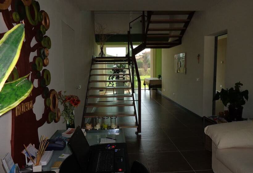 膳宿费 Anima Mundi