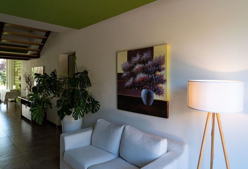 膳宿费 Anima Mundi