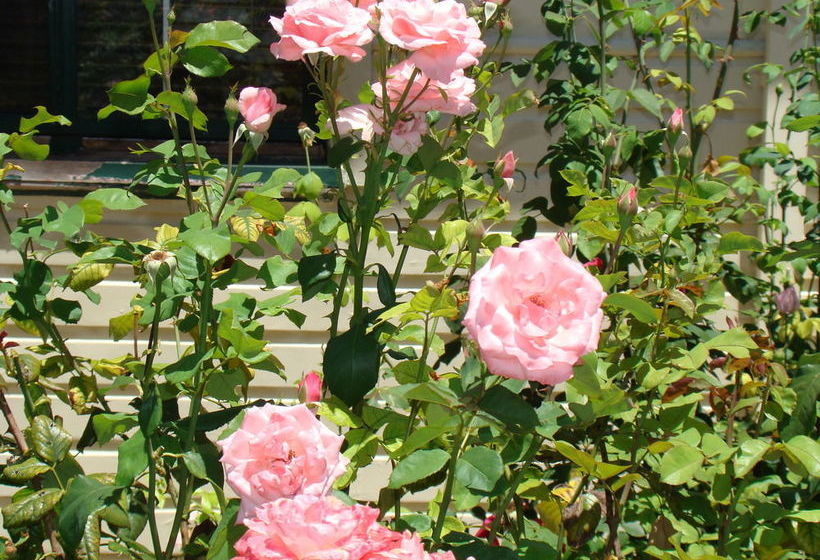 بنسيون Busselton Guest House