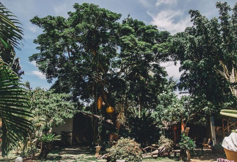 پانسیون Hibiscus Garden Resort