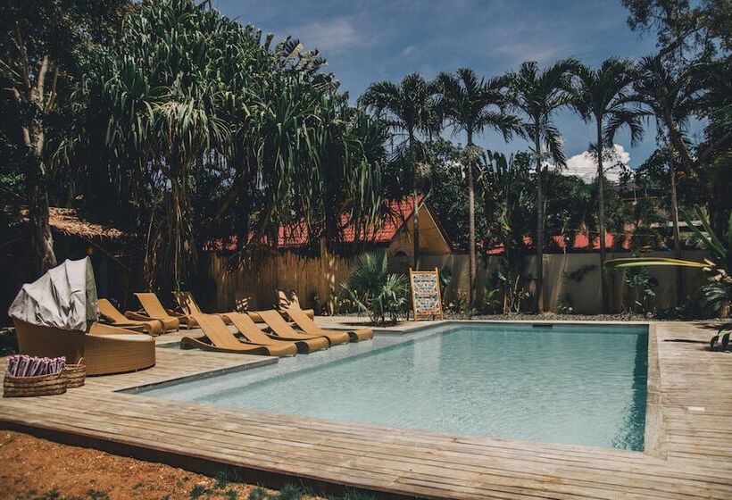 پانسیون Hibiscus Garden Resort