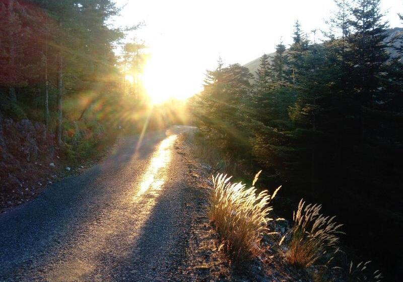 膳宿费 La Bastide Des Pins